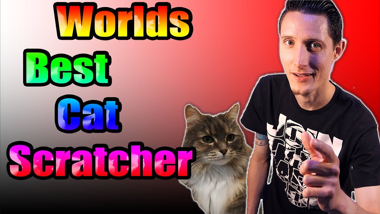 The Ultimate Scratching Post (4k 60FPS)