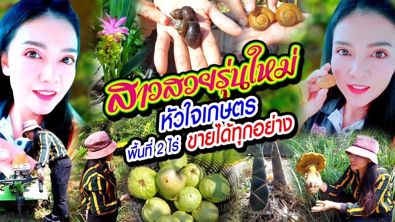 สาวสวยรุ่นใหม่หัวใจเกษตร พื้นที่ 2 ไร่ ขายได้ทุกอย่าง