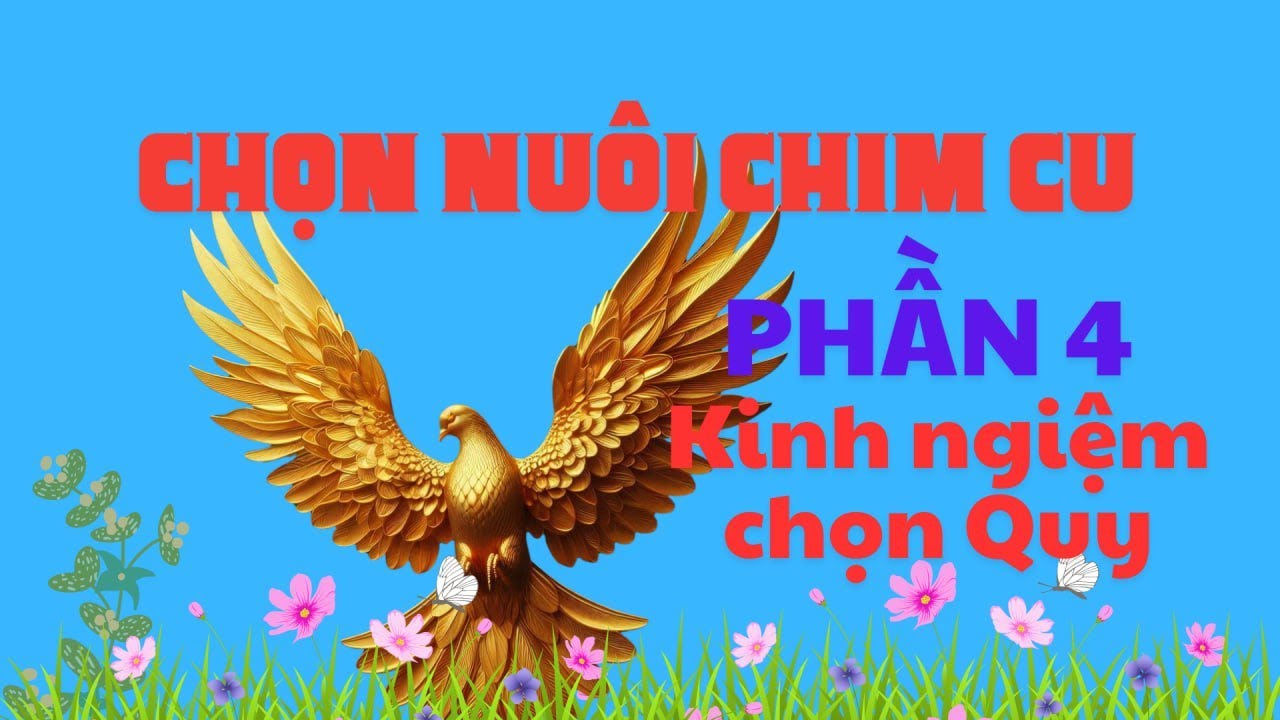Chọn bộ quy chim cu gáy