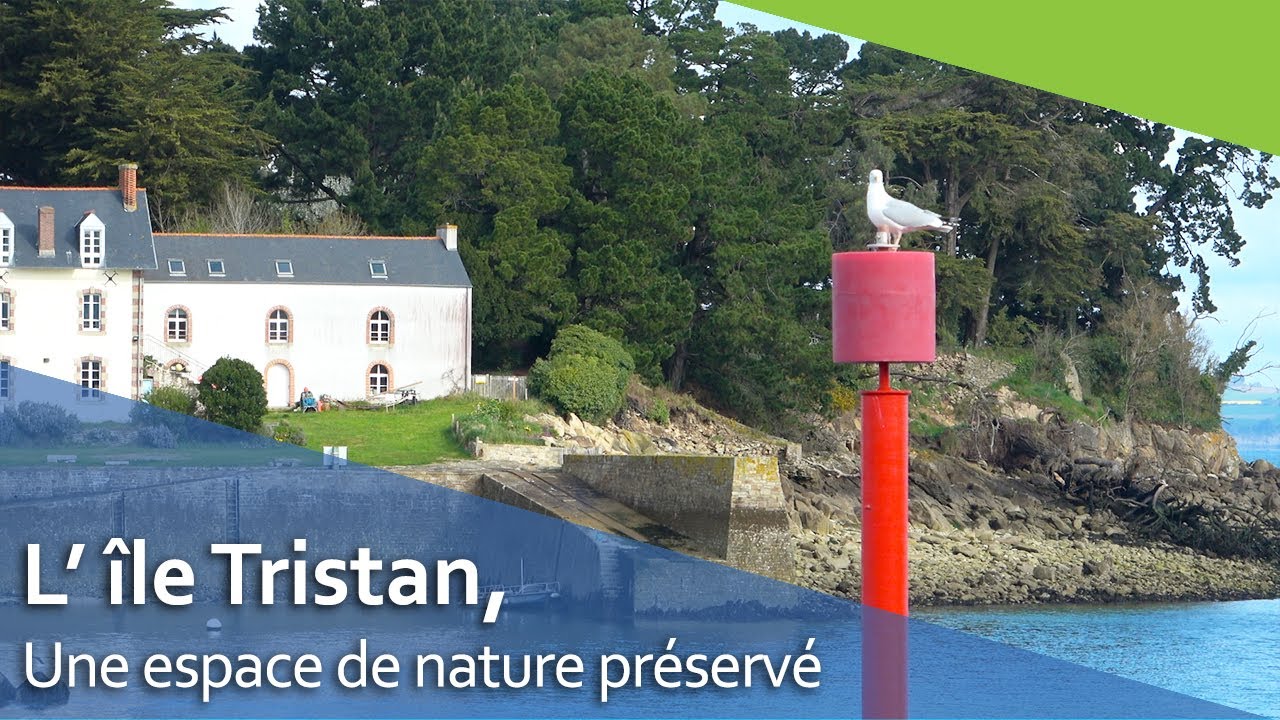 L' île Tristan