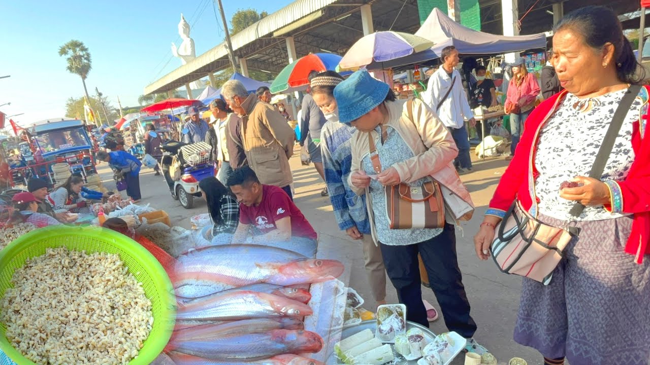 ปลาเนื้ออ่อน ของป่า #ตลาดนัดไทย-ลาว นครพนม สุอยอดอาหารลาว อาหารพื้นบ้านหลายคักแนวกิน #food 