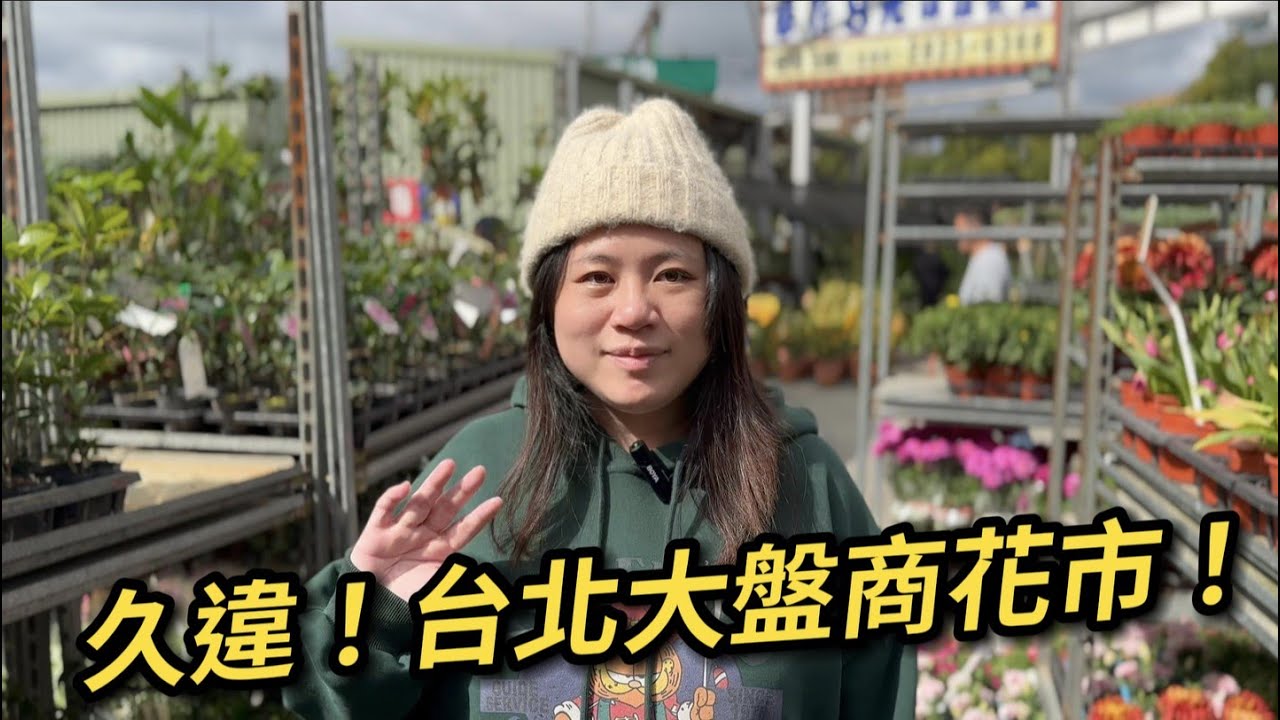 久違的！台北大盤商花市～