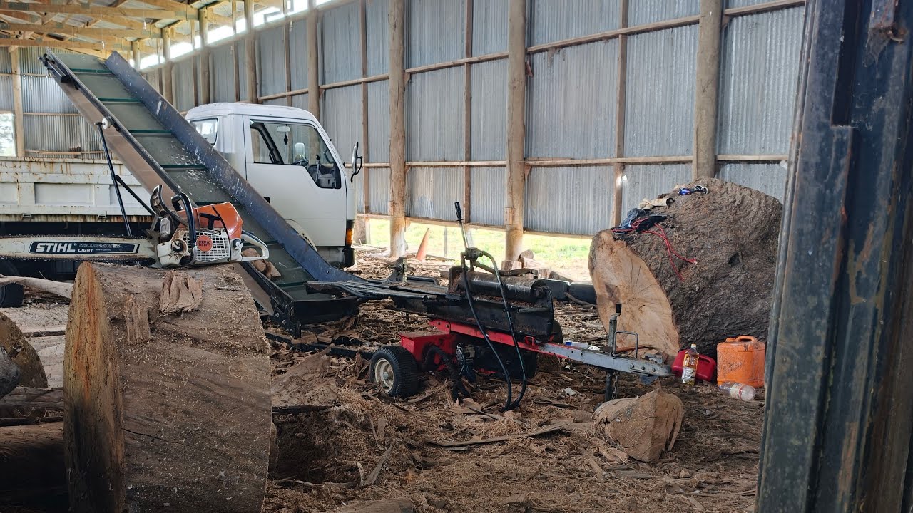 Finally Chainsaw time and Splitting time dry gum