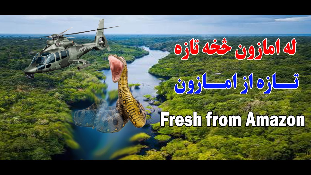 Fresh from Amazon Forest ، د امازون ځنګل تازه حال