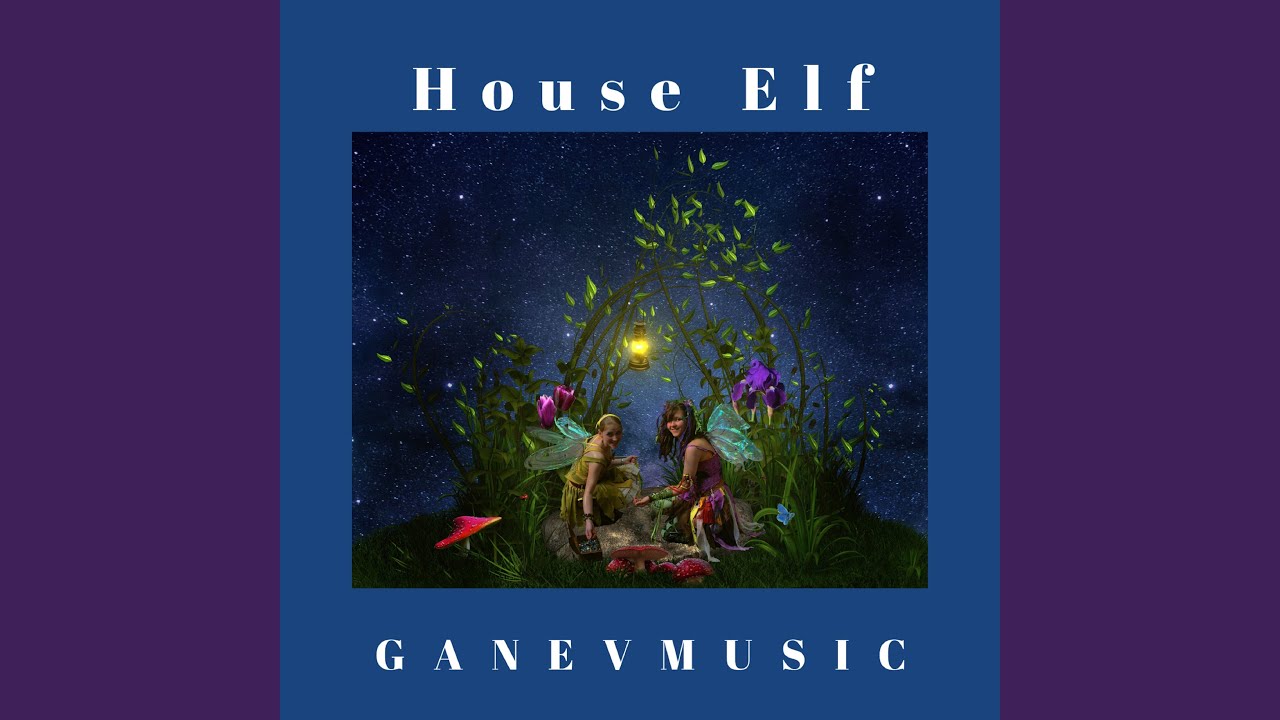 House Elf