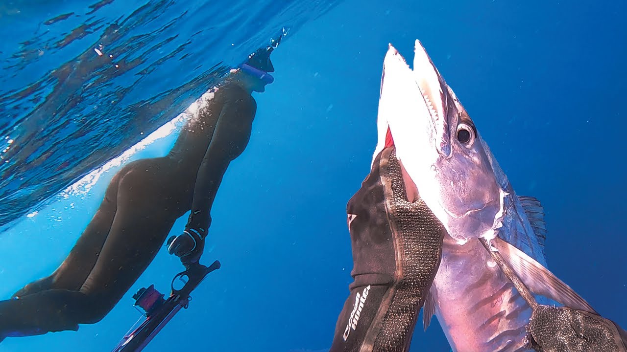 Spearfishing Yasawas - Spanish Mackerel Run for Dinner