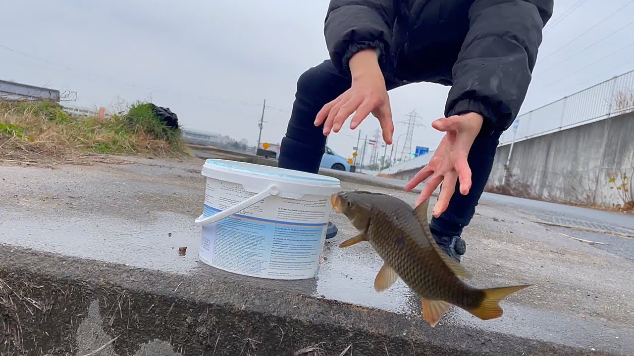 めちゃデカい魚をとった