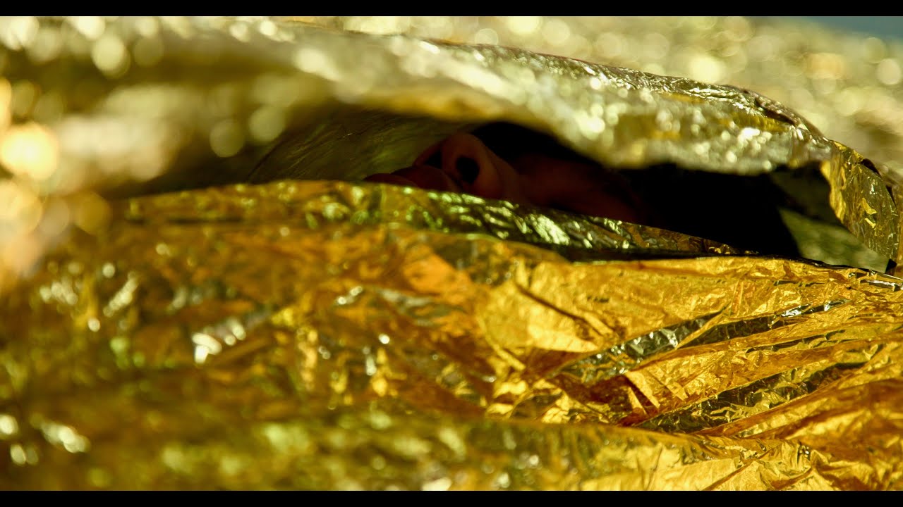 La saison 4  de la Web série Andy's gone