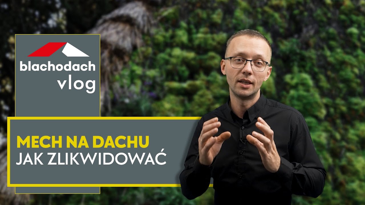 Jak zlikwidować mech na dachu – BLACHODACH