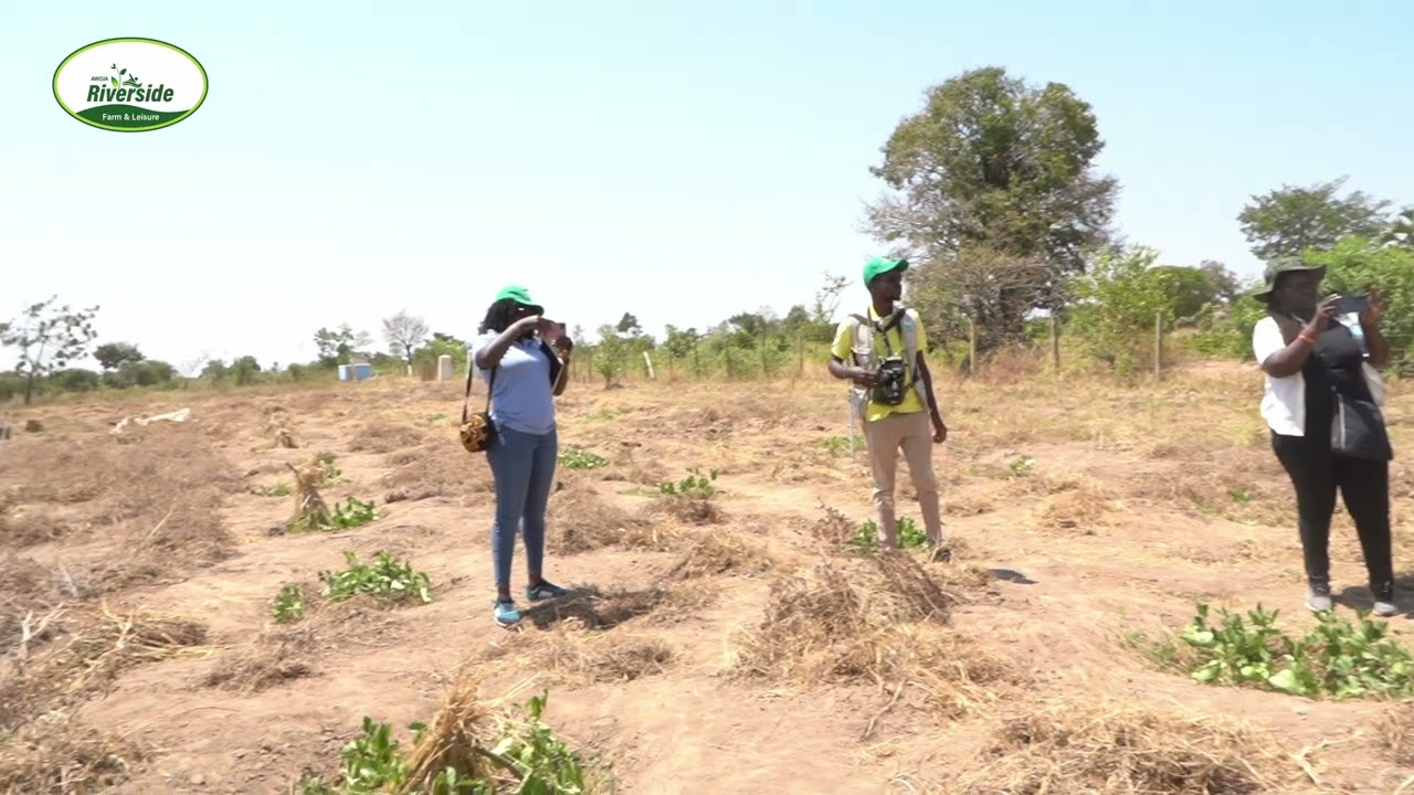 Understanding Soil Sampling with NARO | Full Practical Session for Students