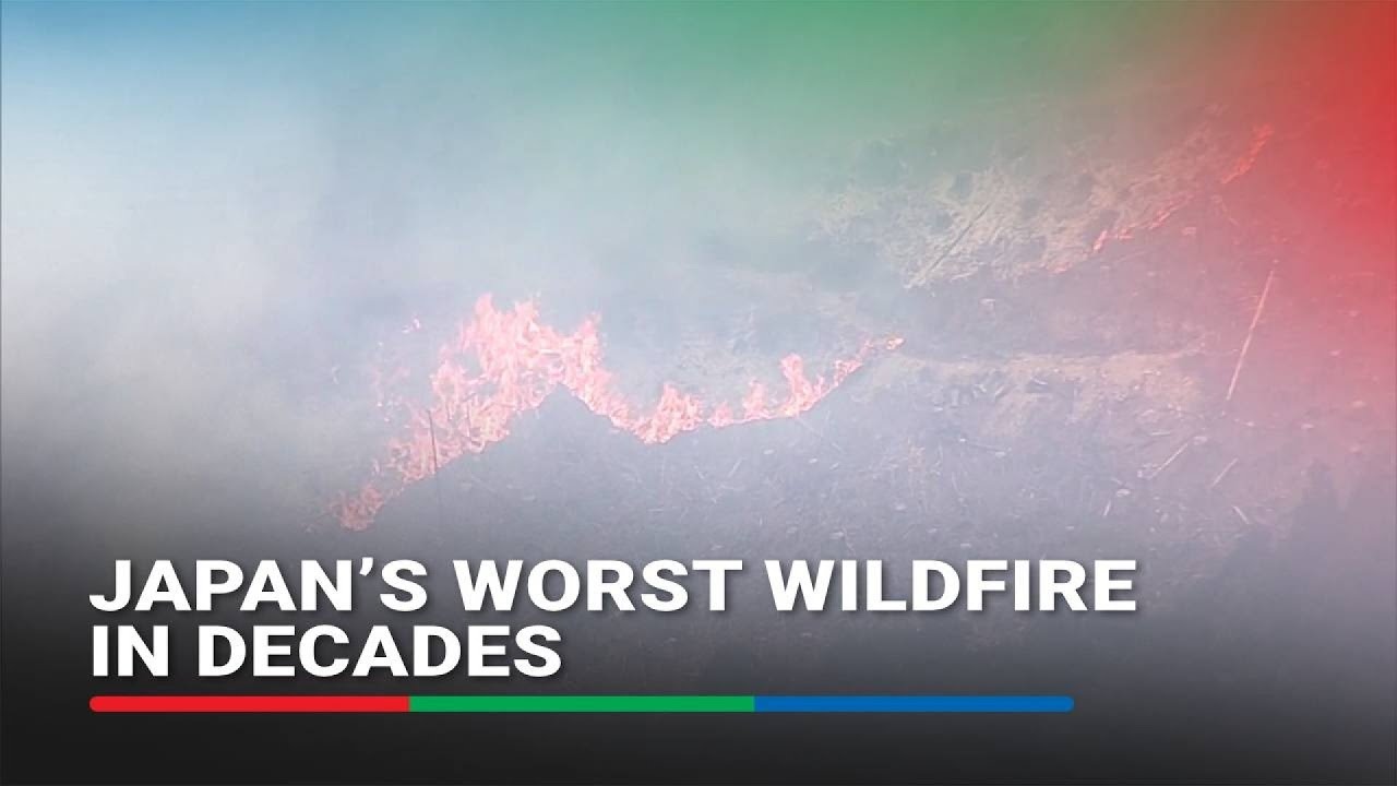 Japan's worst wildfire in decades continues to burn | ABS-CBN News