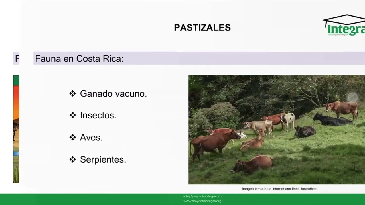 Tipos de Ambientes