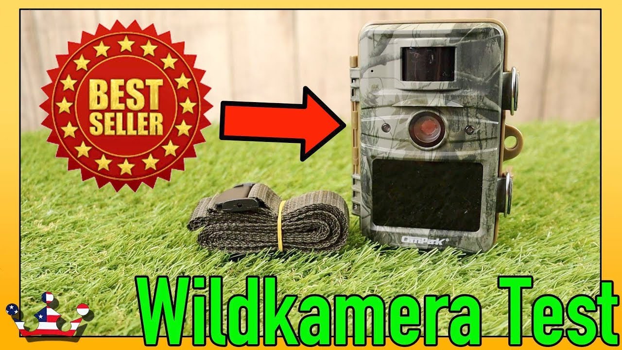🔴WILDKAMERA KAUFEN ? Campark Wildkamera im Test