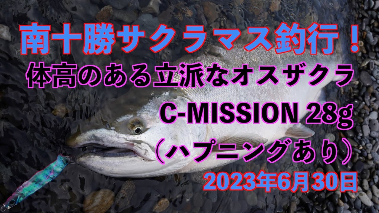 【南十勝サクラマス釣行】体高のある立派なオスザクラC-MISSION28g（ハプニングあり）2023年7月2日