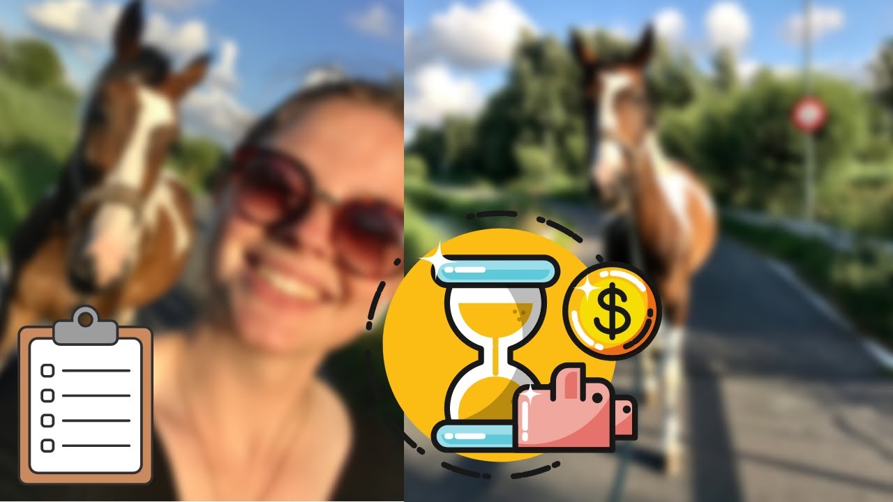 Wanneer ben je klaar voor een EIGEN PAARD? | likehorses