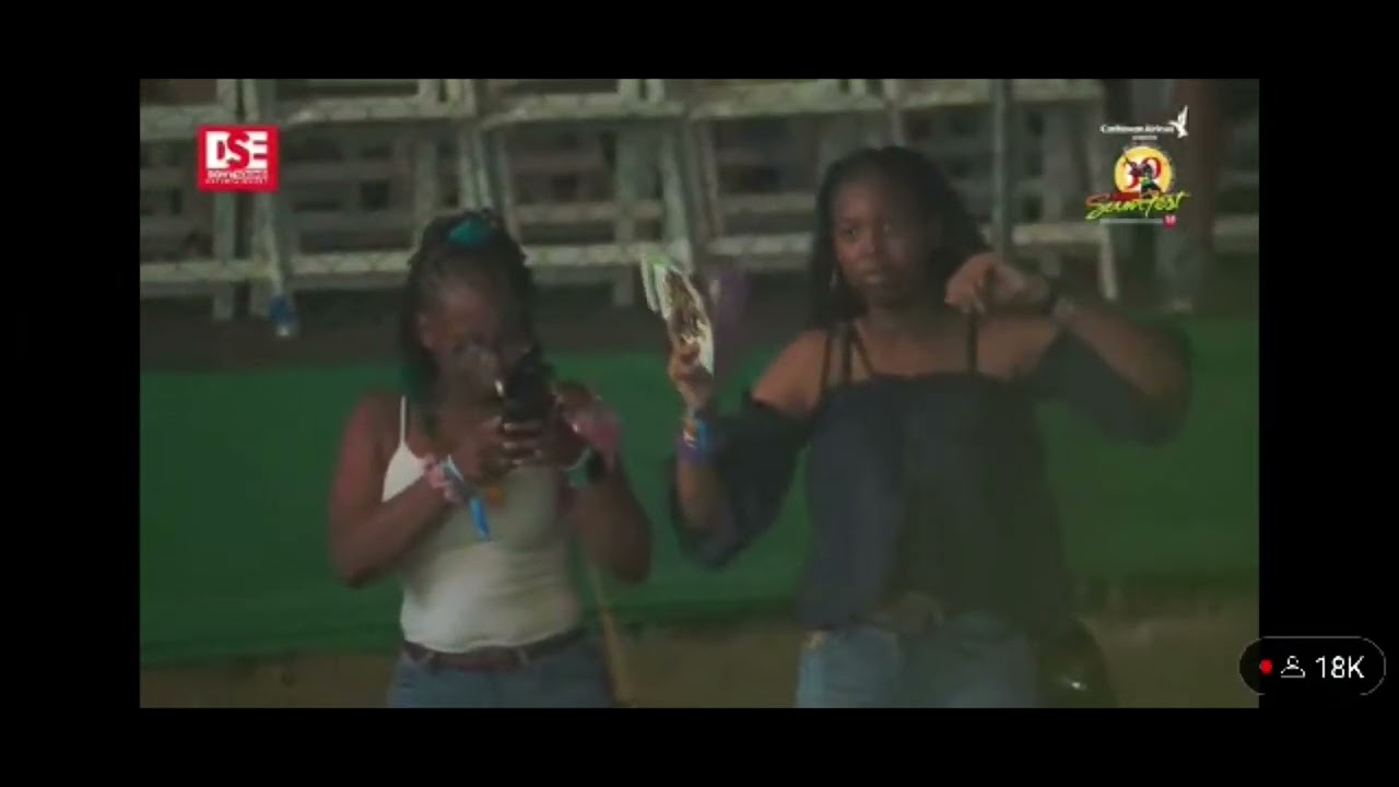 Silver cat live at reggae Sumfest 2023