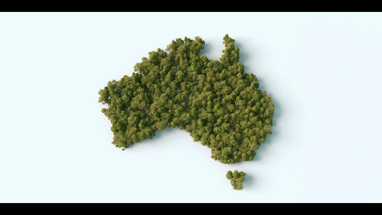 13th May 2025 - Dr Llew Mills - Findings from the Cannabis as Medicine surveys