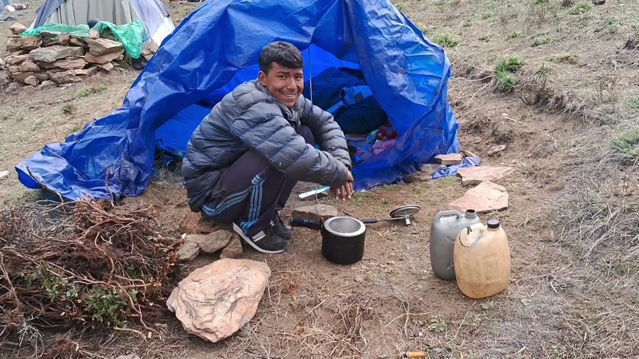 Best Life in Himalayan village shepherds during dolpa snowfall and relaxing video natural life nepal