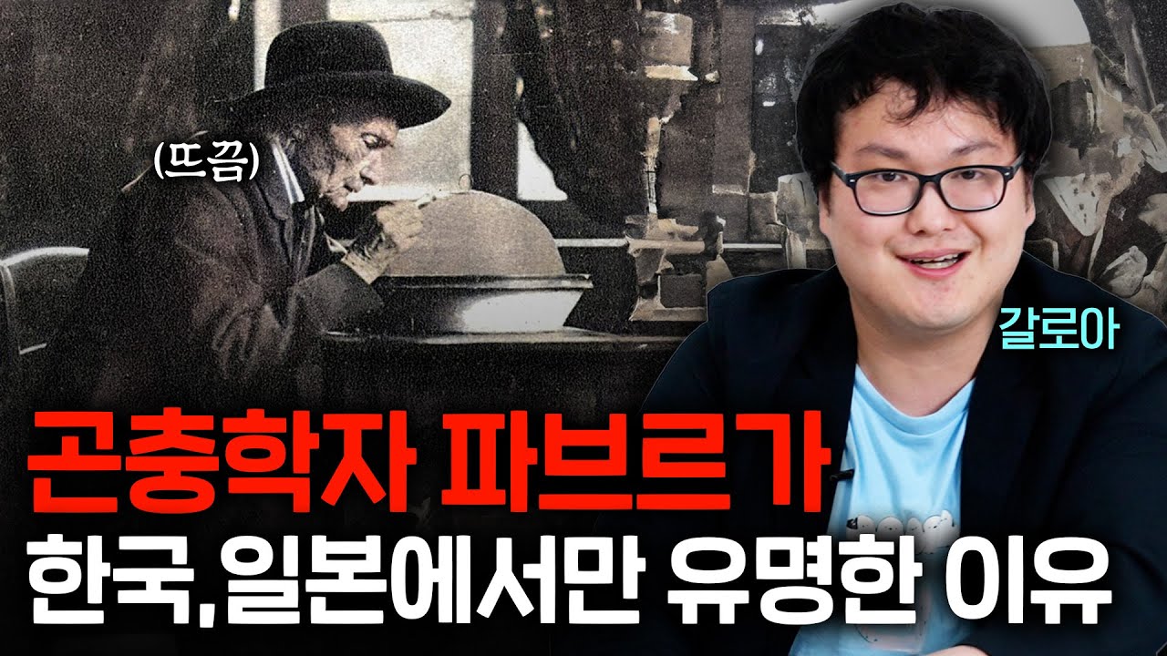 의외로 한국과 일본에서만 유명하다는 곤충학자 파브르 (갈로아)