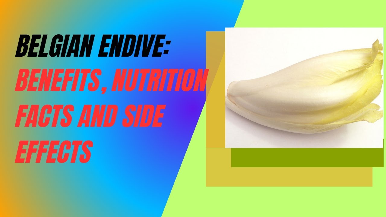 Belgian Endive: Benefits, Nutrition Facts, and Side Effects