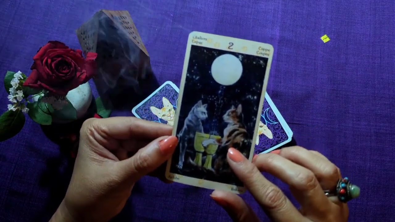 OneTarot Daily Message - 2 of Cups , being in the moment
