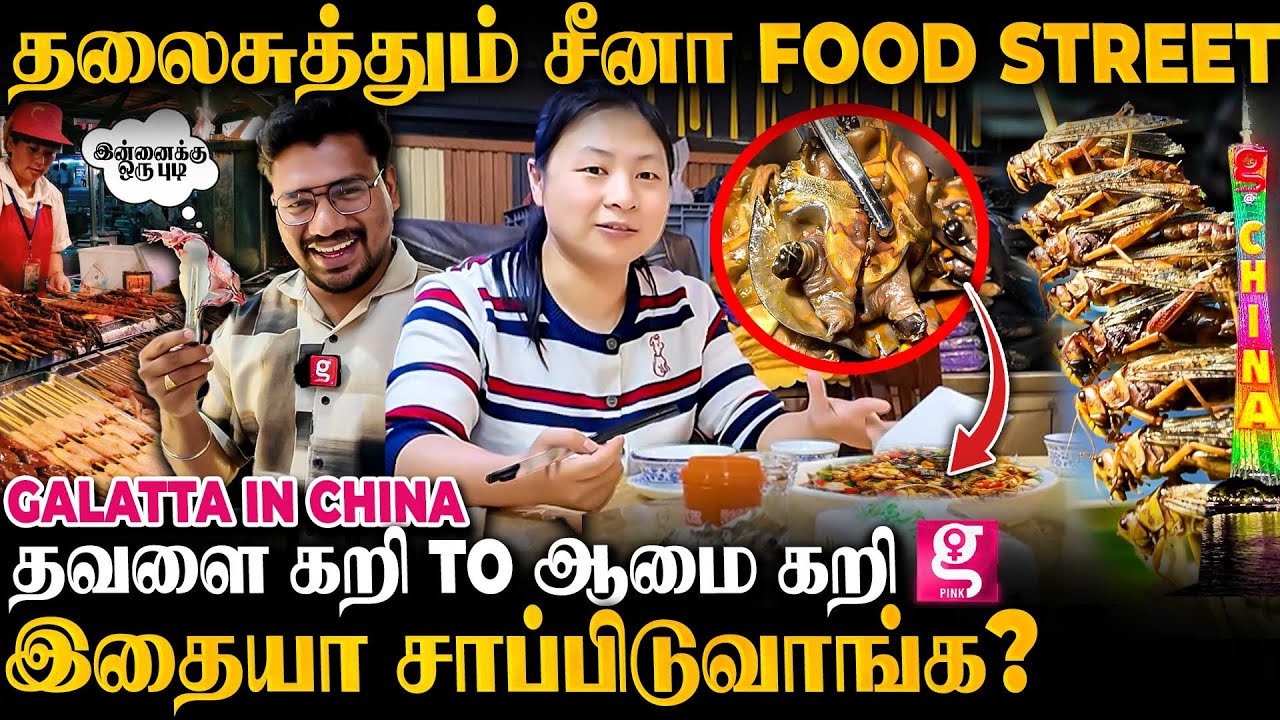 China-ல் பாம்பு தோல் சூப், தட்டான் வறுவல்..சைனா பொண்ணுங்க அழகுக்கு காரணம் இதுவா ?| China Food Street
