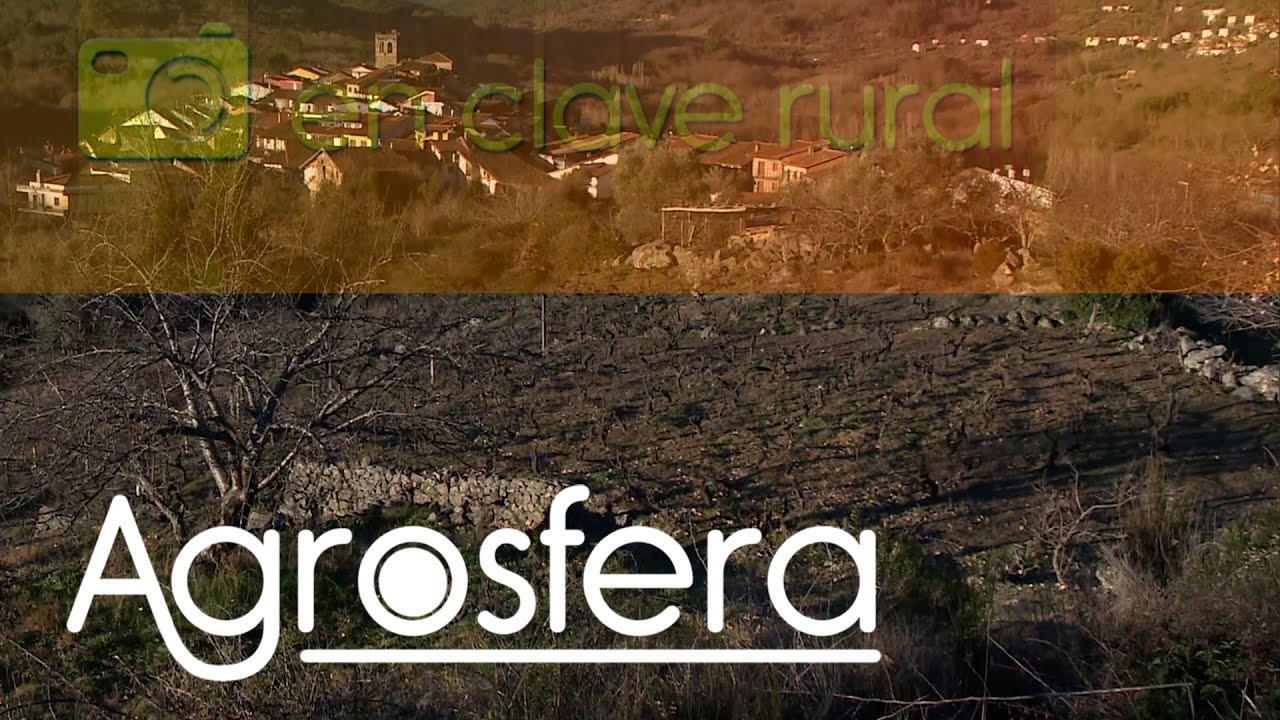 Cepeda, Salamanca - Agrosfera | La2