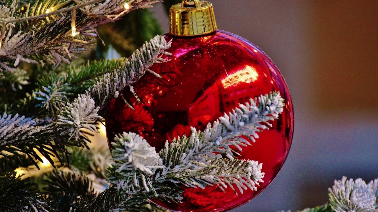 “Shining December” A Bright & Cheerful Christmas Song for Everyone