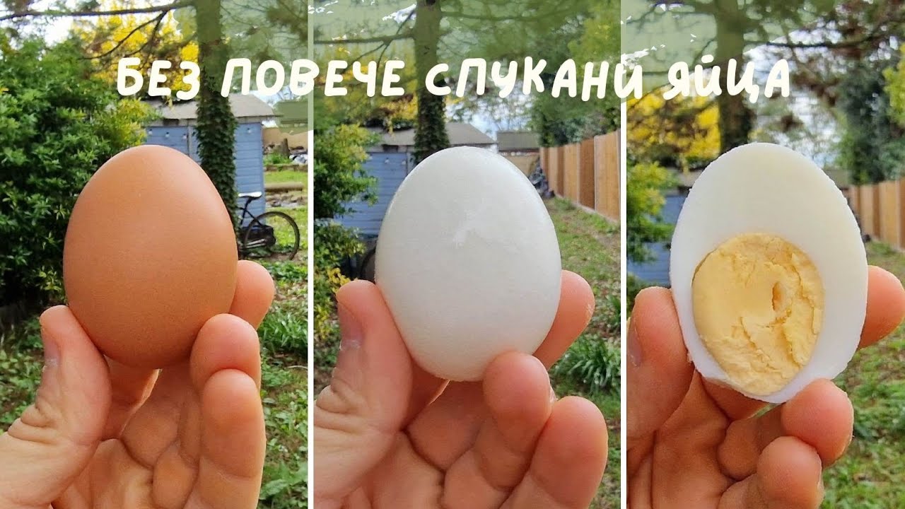 Без повече спукани яйца. Перфектно сварени яйца във вода и в air fryer, плюс няколко трика!