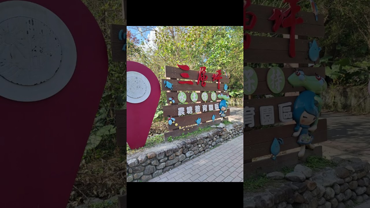 安農溪分洪堰生態園區+三層坪農塘落羽松