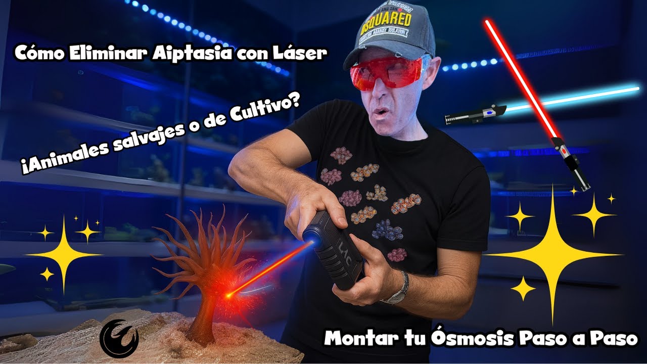 CÓMO Eliminar AIPTASIA con Láser !!!  Animales Salvajes o de Cultivo? y Montar tu Ósmosis
