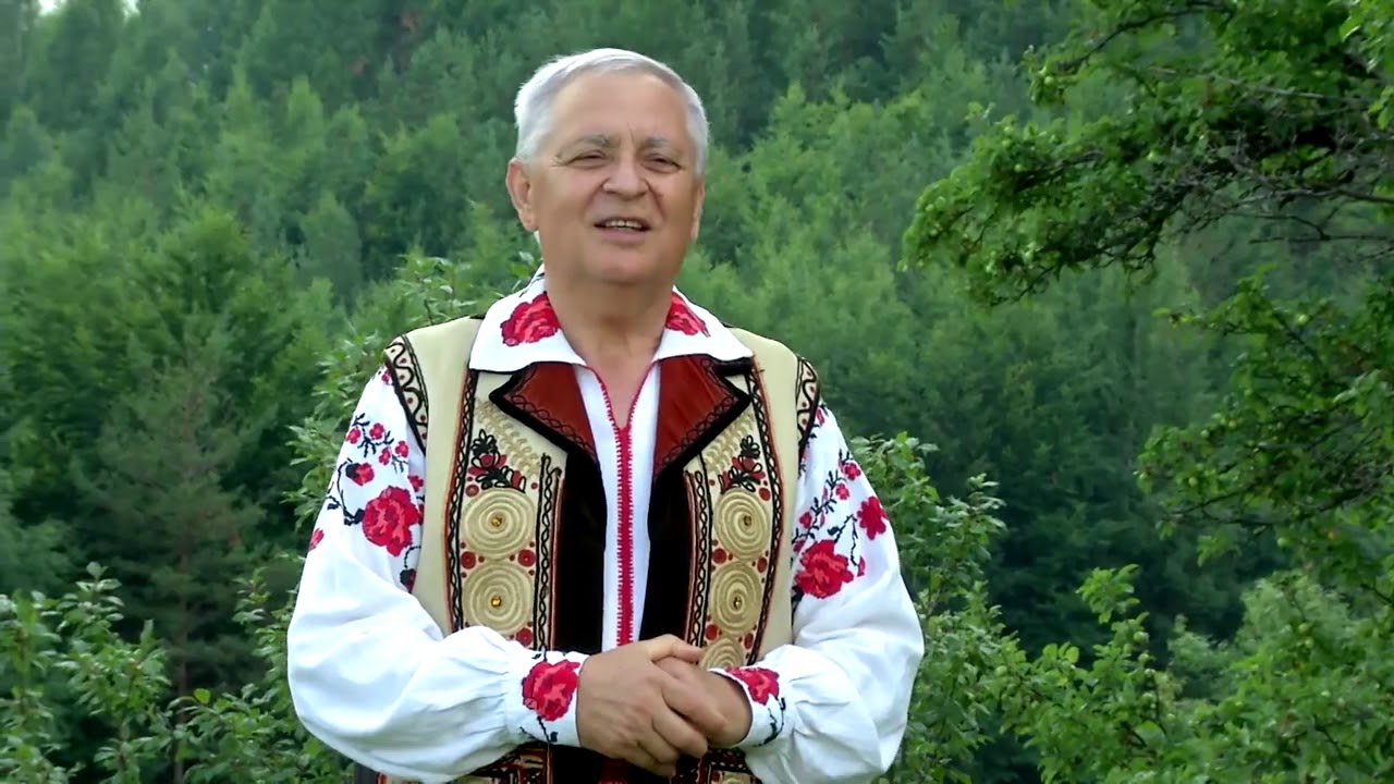 NICOLAE OPRISAN  Bate vantul printre brazi oficial video