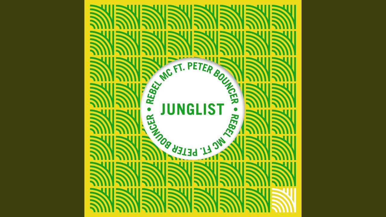 Junglist (DJ Zinc Remix)