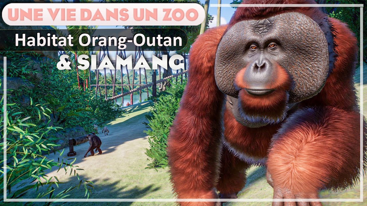 Habitat Interespèces de l’Orang-outan | EPISODE 52 | PLANET ZOO | Franchise