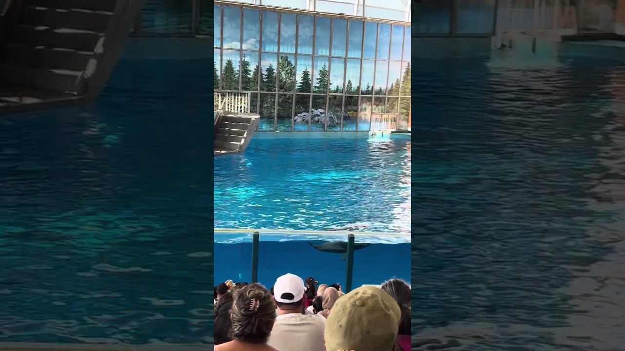 Ocean Discovery at Sea World San Antonio #Texas