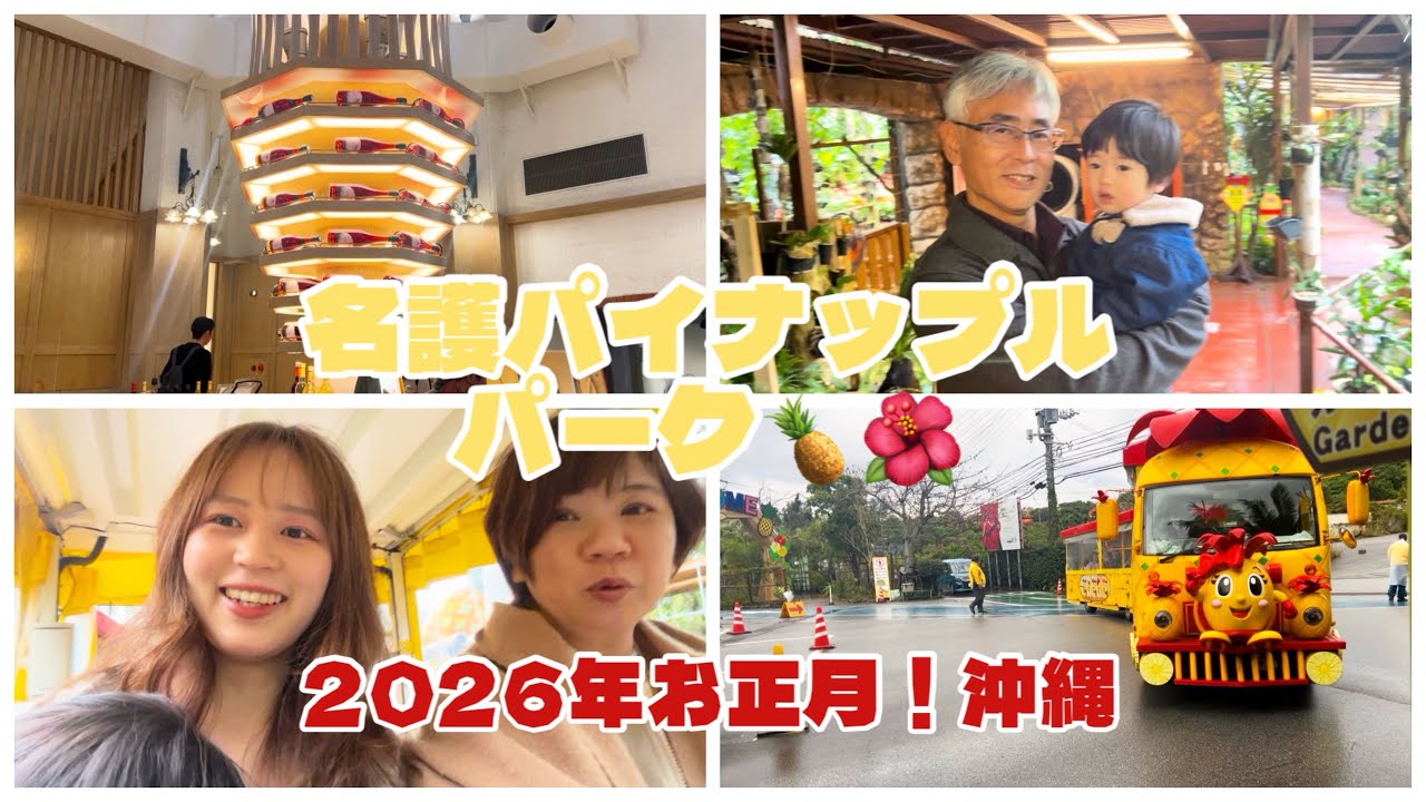 パイナップルワインが美味しすぎた！大人も楽しめるパイナップルパーク！年始め大はしゃぎ！
