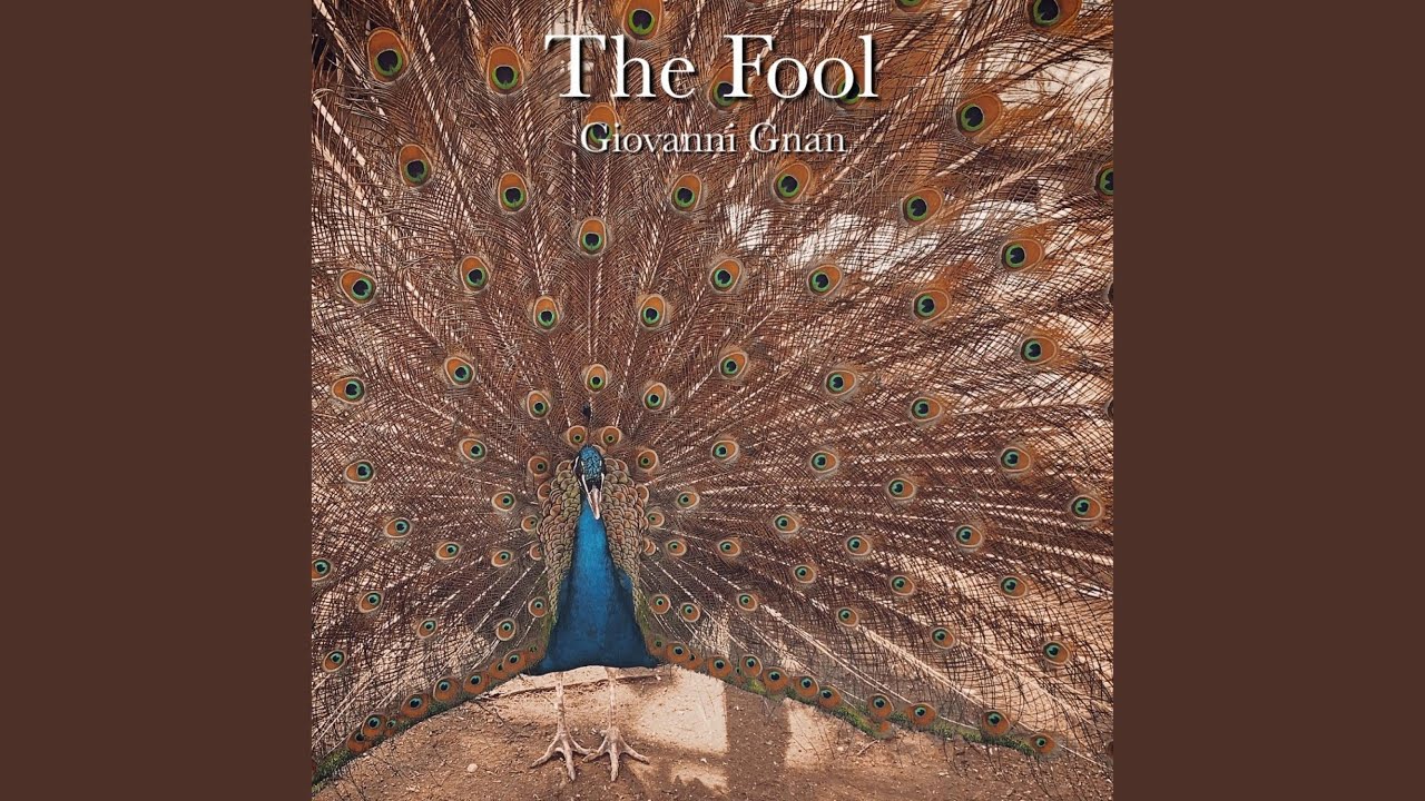 The fool