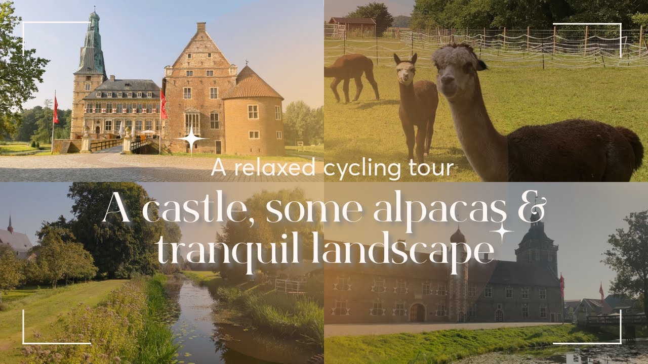 Radtour mit Renaissance-Schloss, Alpakas und ruhiger Landschaft