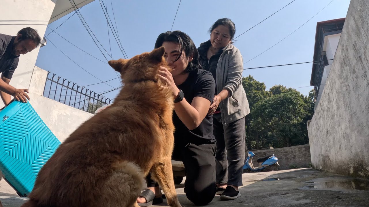 I flew to INDIA to surprise my Mom & Dog