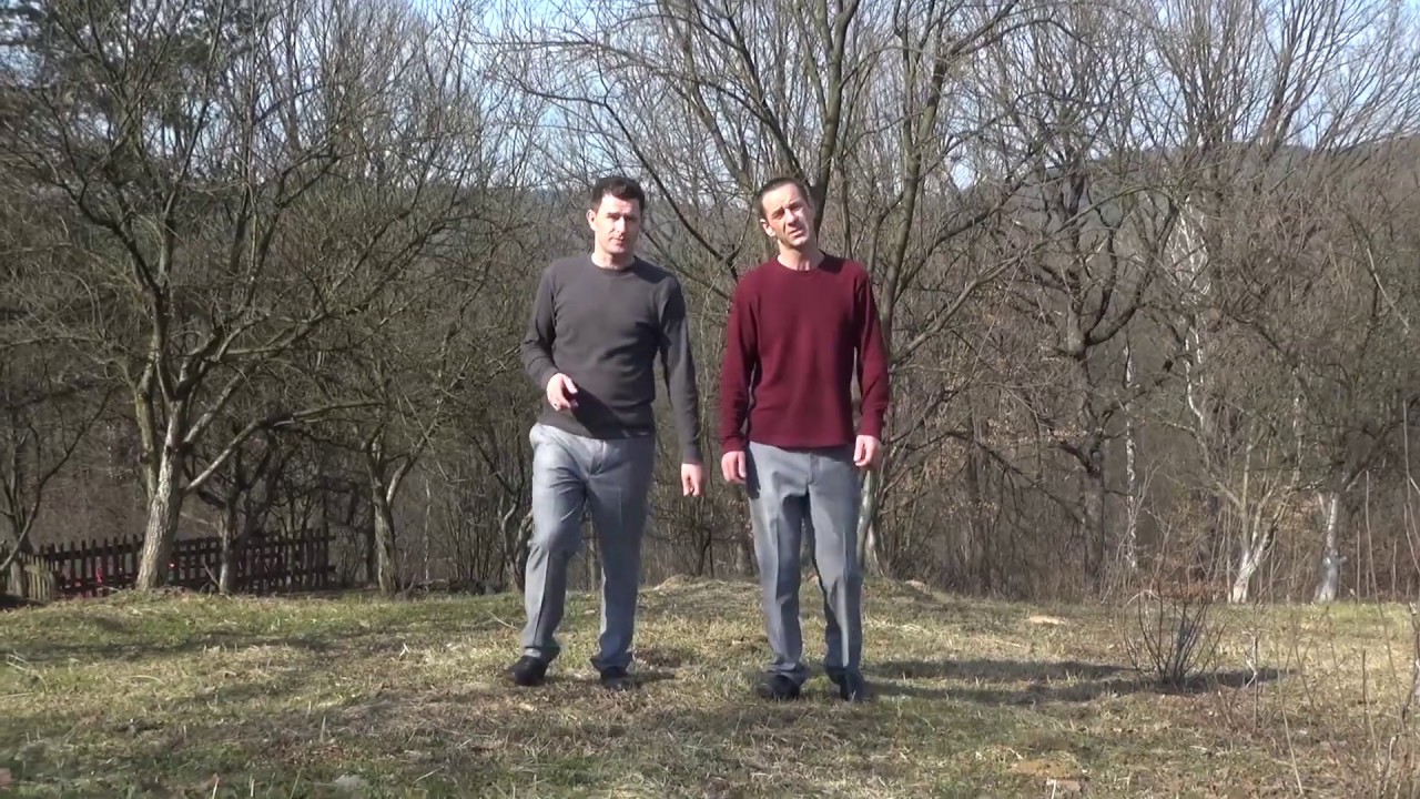 Veziri Podrinja - Vracaju se Podrinjci na svoje - (Official video 2019) HD