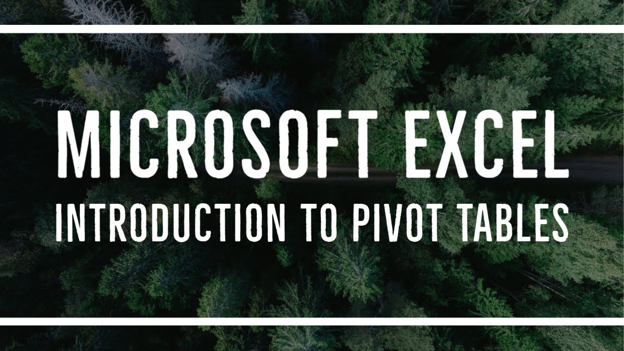 MS Excel - An Introduction to Pivot Tables