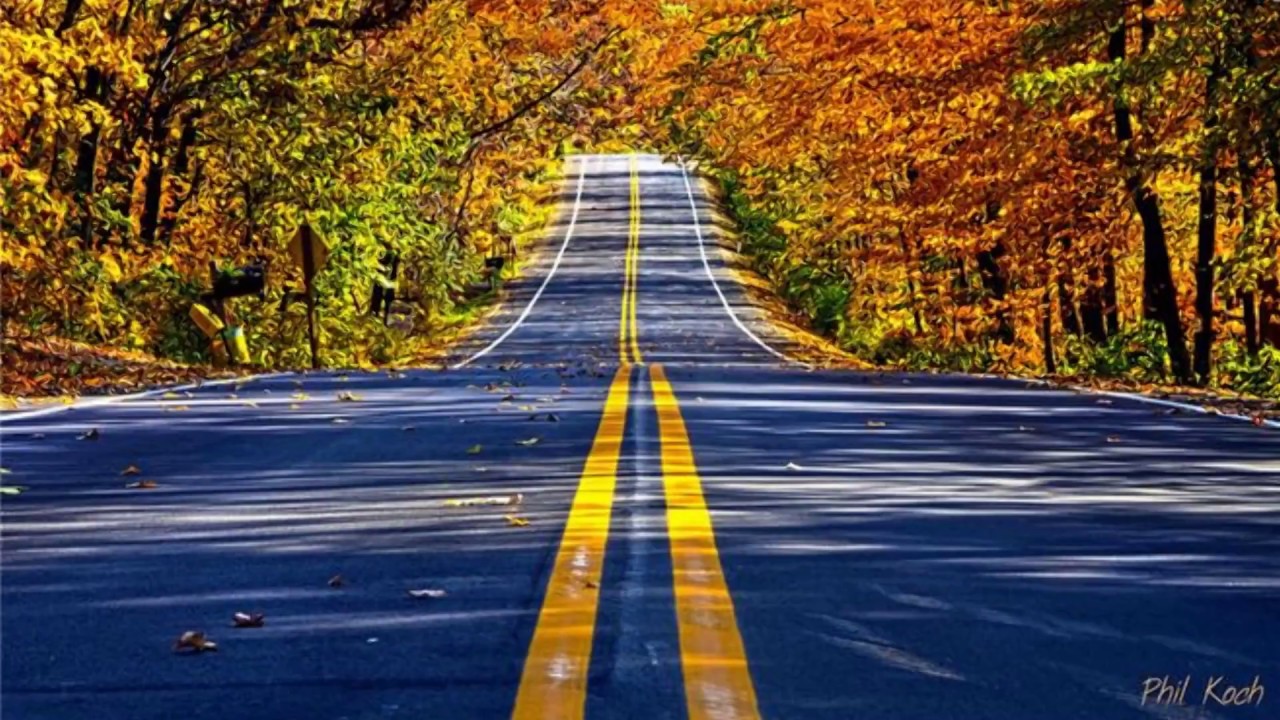 Beautiful autumn road (HD1080p)