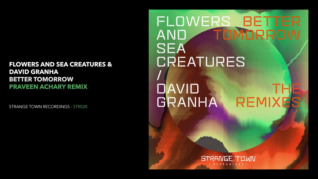 Flowers and Sea Creatures, David Granha - Better Tomorrow (Praveen Achary Remix)