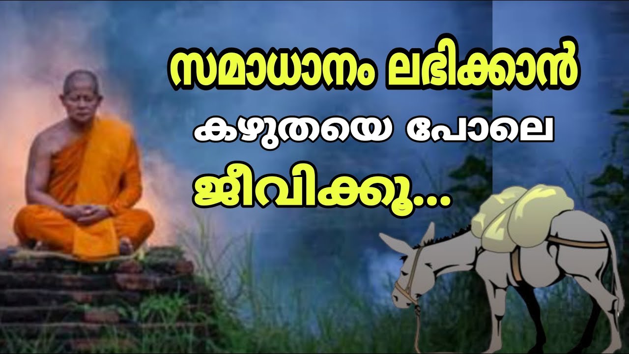Zen Story Malayalam| കഴുതയെ പോലെ ജീവിക്കു മനസ്സിനെ ശാന്തമാക്കു | Sri buddha