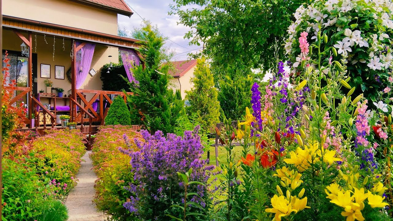 🌿 Начало невероятного шоу! 🌸Цветение многолетников и однолетников в нашем саду #garden #сад 