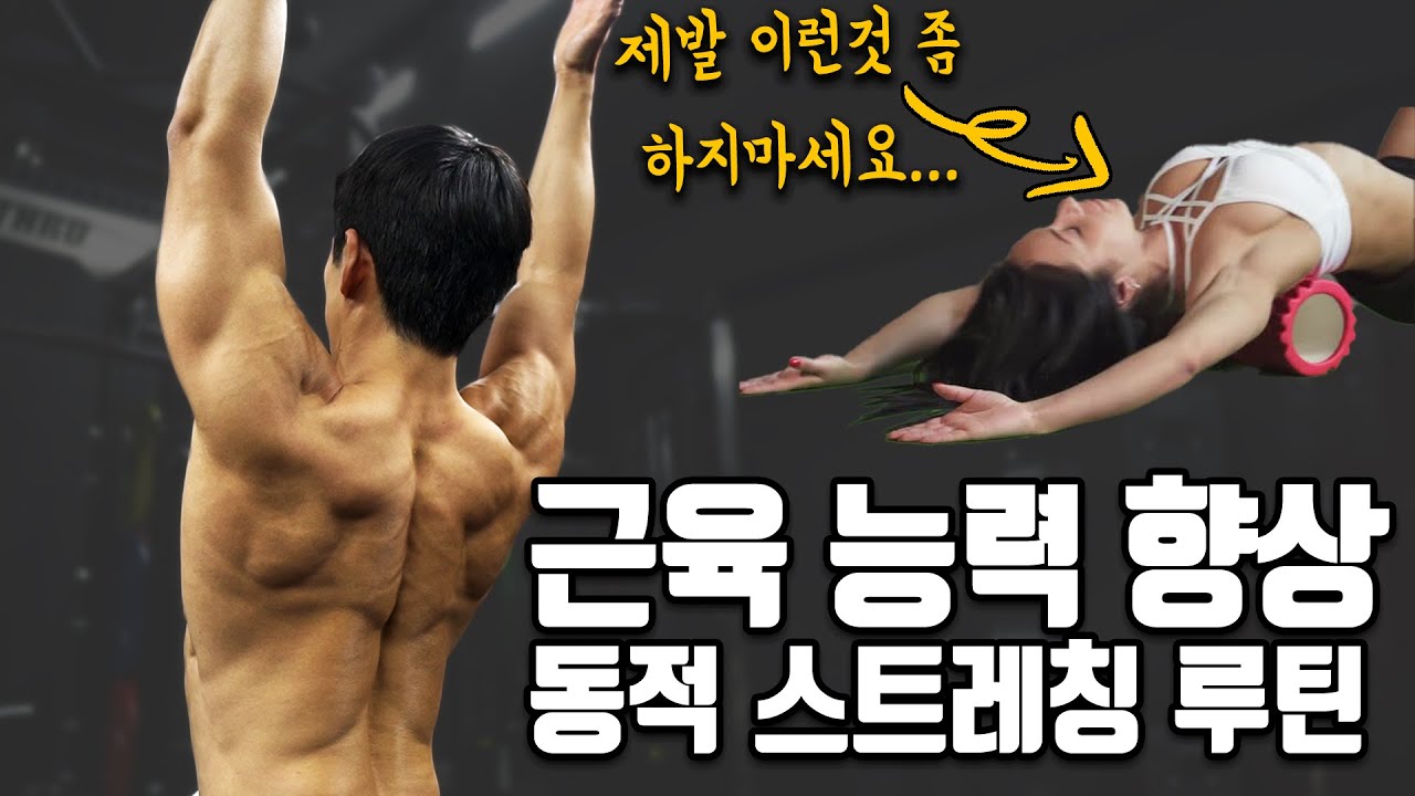 [논문 근거] 운동전, 부상 방지 및 수행능력 향상을 위한 상체 동적 스트레칭 루틴