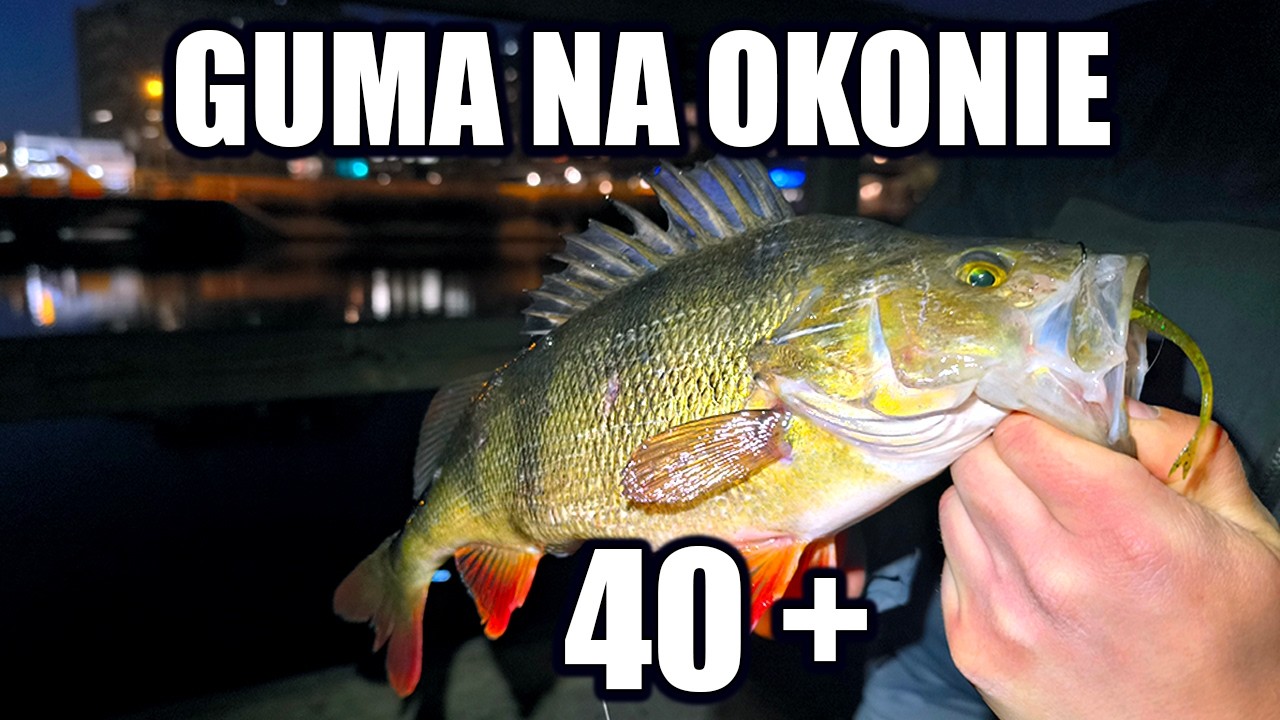 TA PRZYNĘTA TO HIT NA OKONIE !!!