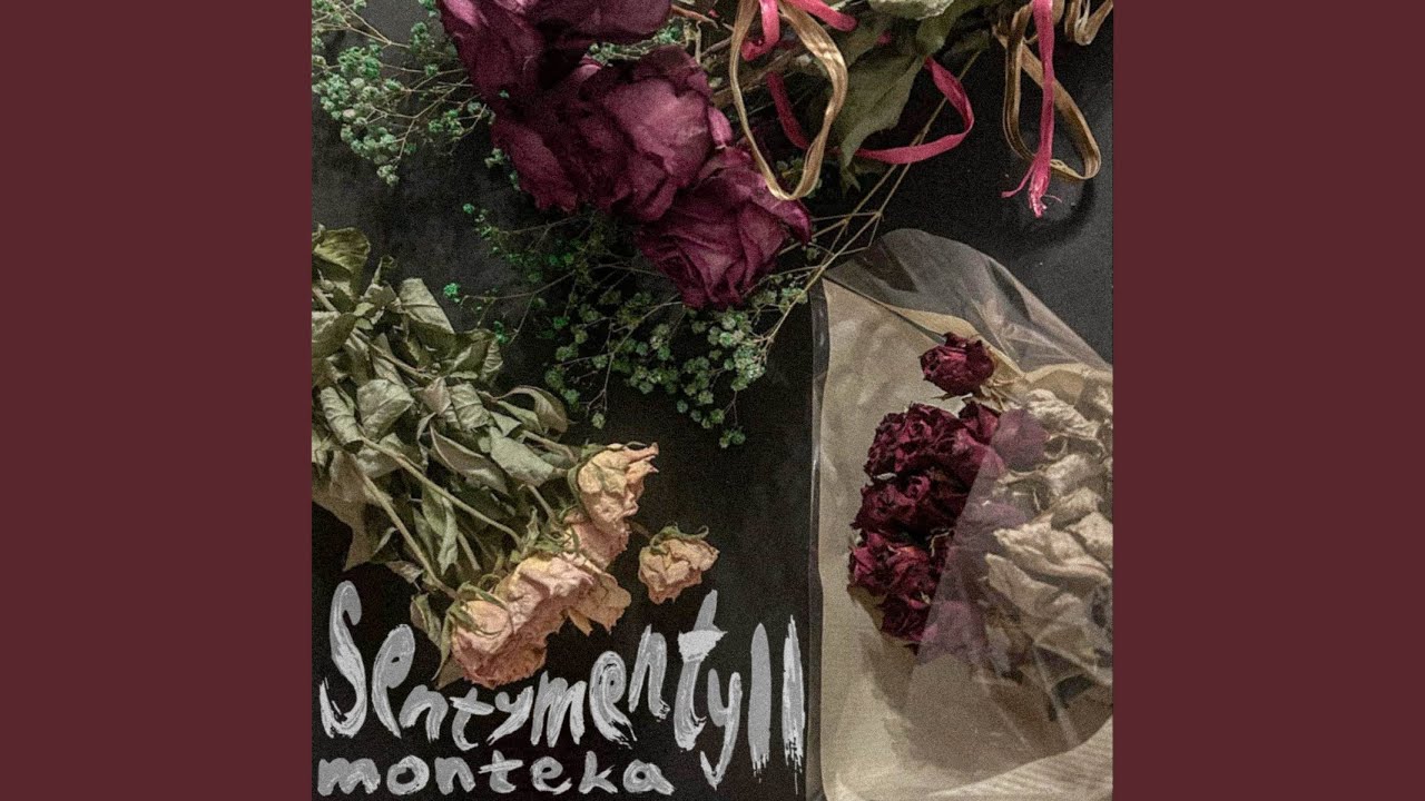 SENTYMENTY II