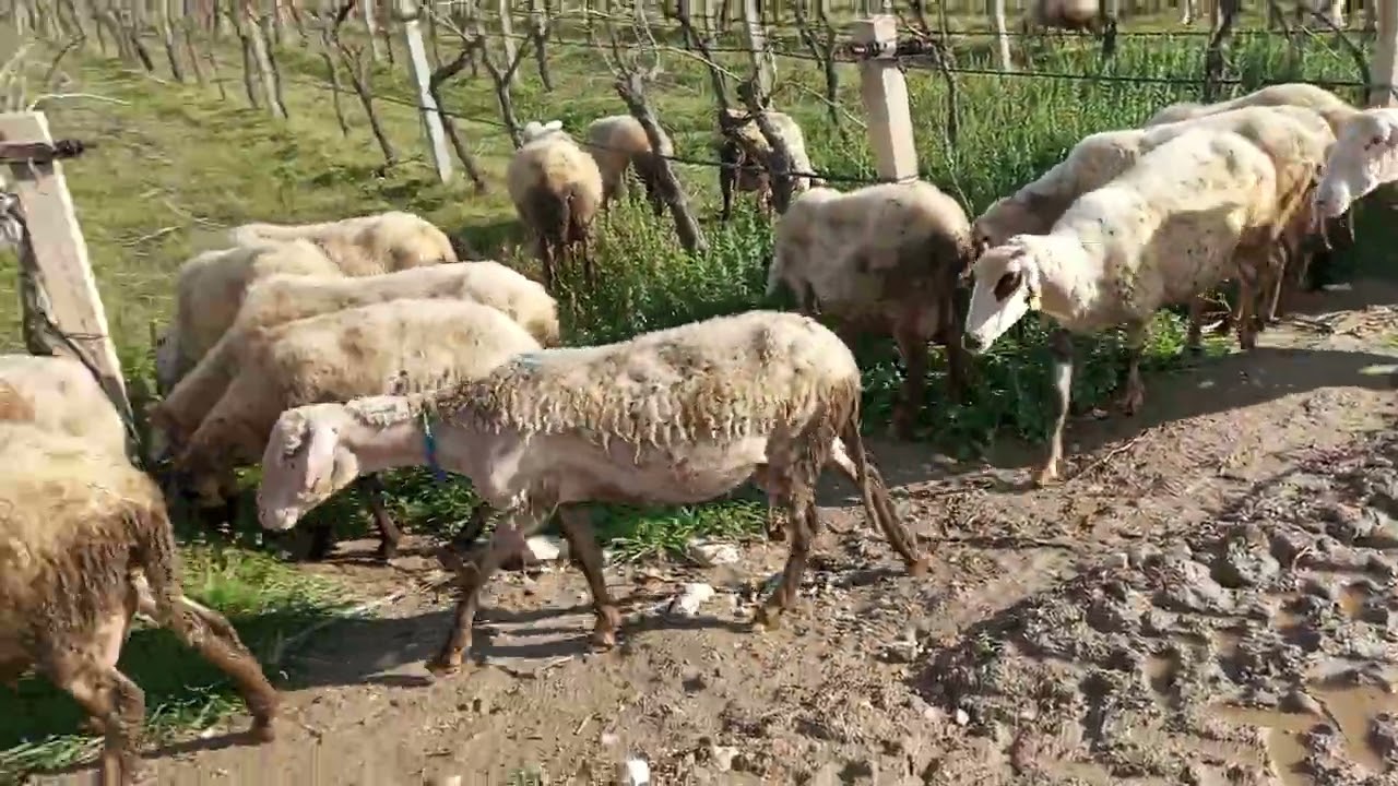 SOSYAL MEDYAYI BİZ YANLIŞ KULLANIYORUZ. İNSANIN Bİ ÖZEL HAYATI OLUR. HER ŞEY PAYLAŞILMAZ. 