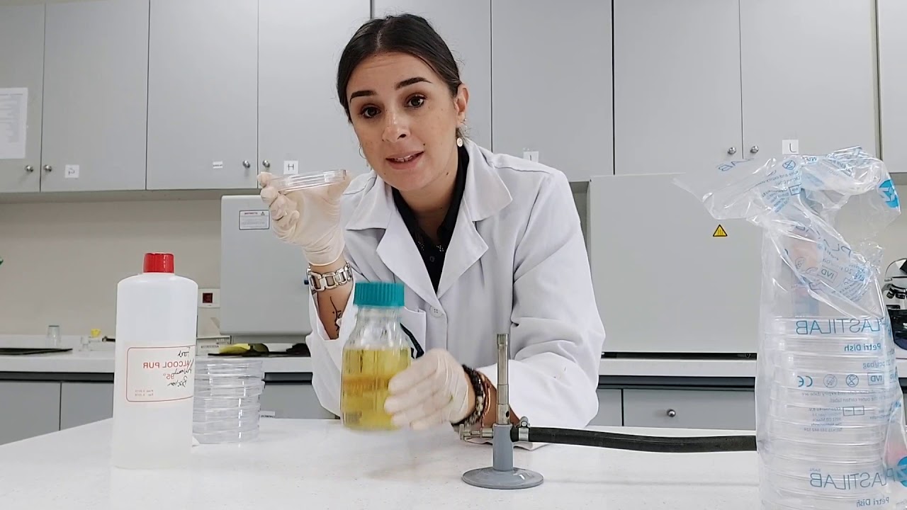 Preparation of Nutrient Agar and pour plate technique